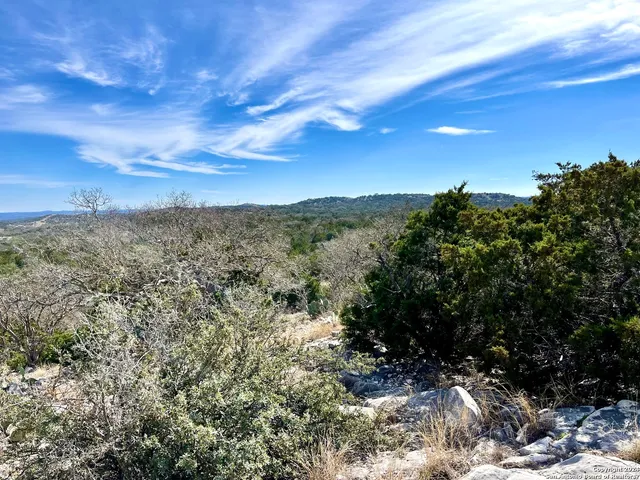 a view of a tree with a yard