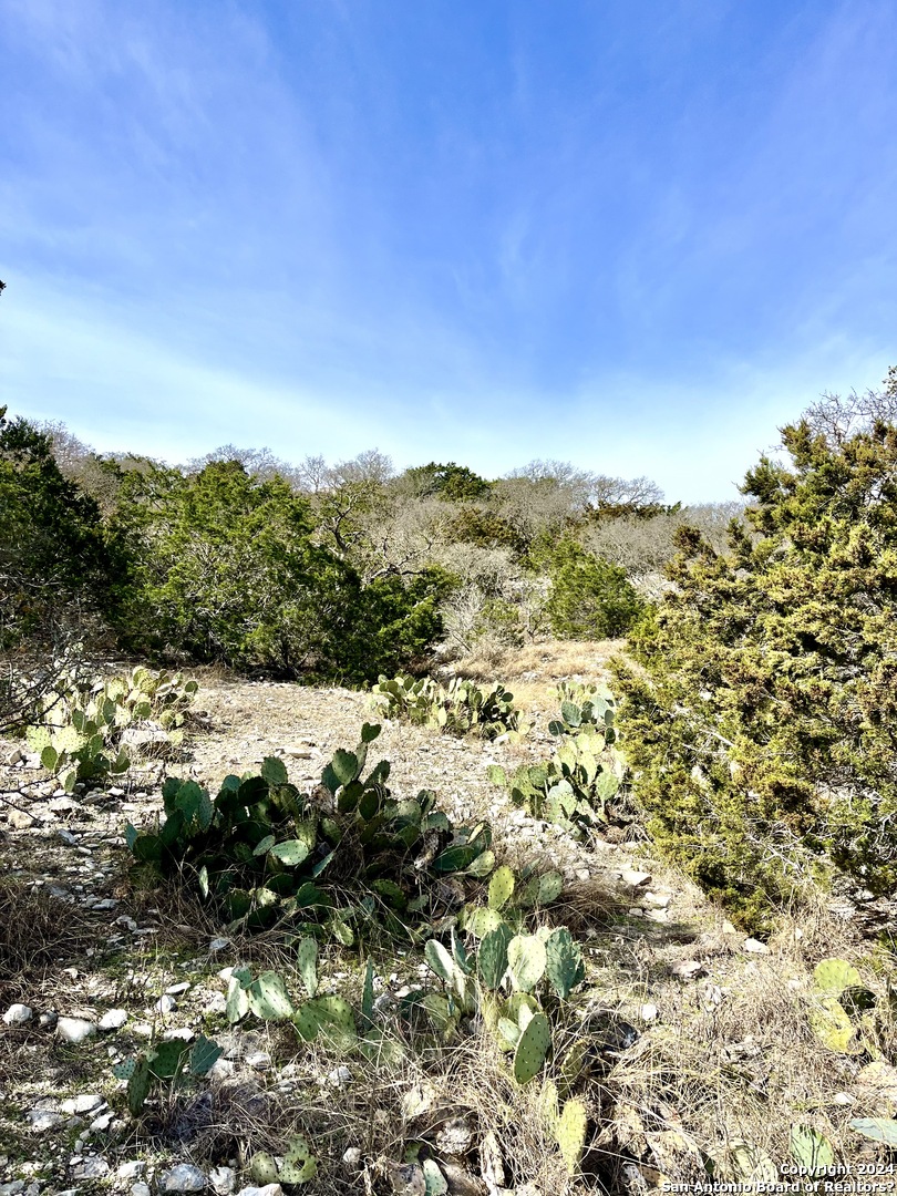 0 SD 63538 Del Rio, TX 78840 - Photo 19 of 27 a view of a yard