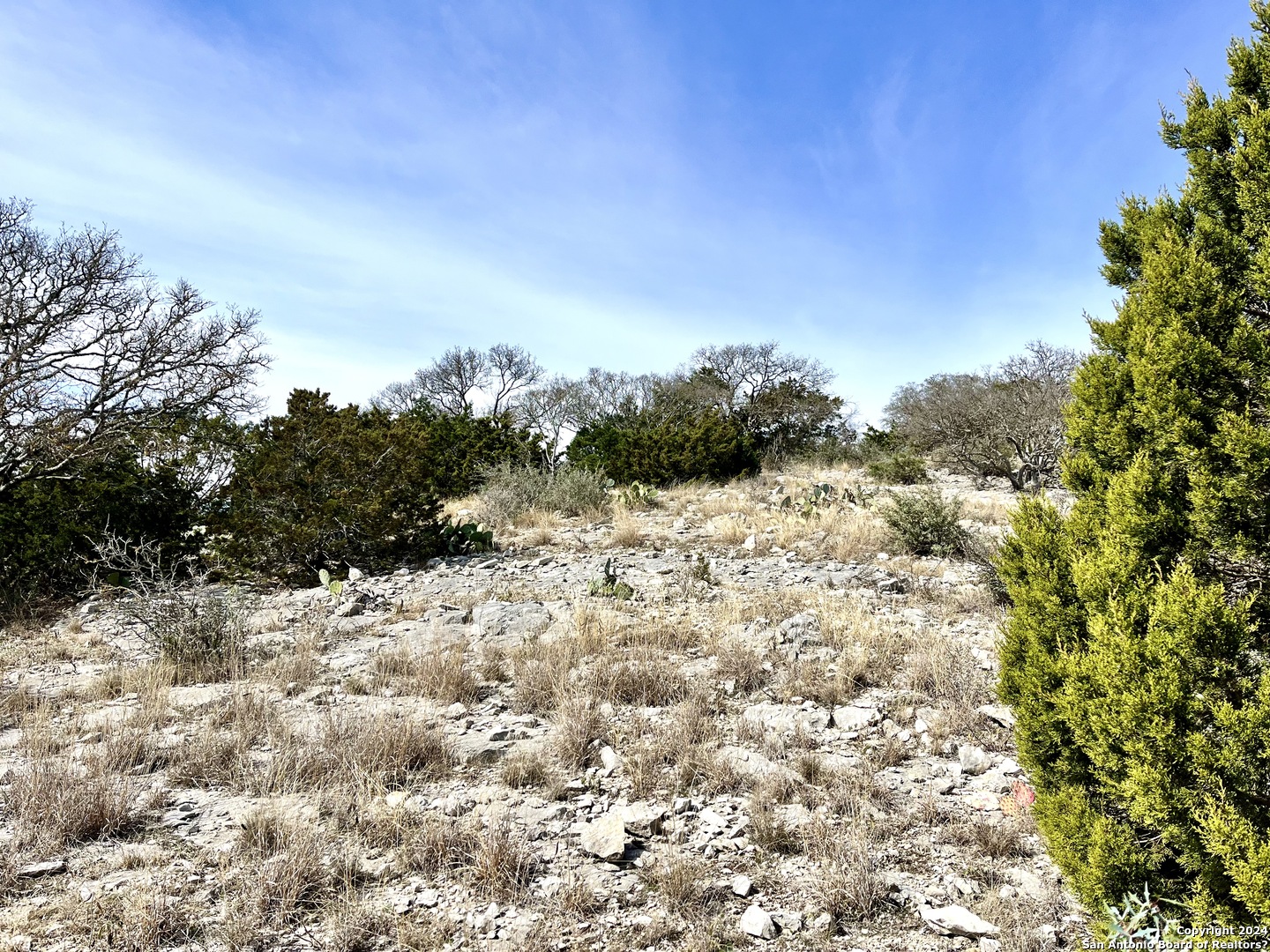 0 SD 63538 Del Rio, TX 78840 - Photo 20 of 27 a view of a field