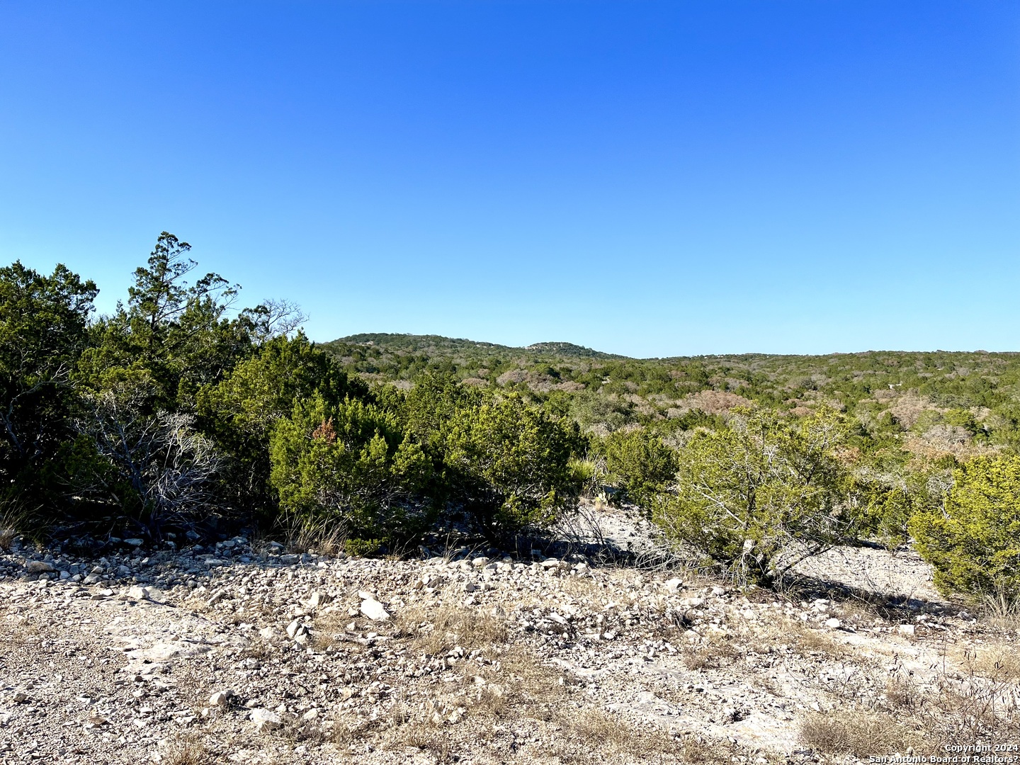 0 SD 63538 Del Rio, TX 78840 - Photo 2 of 27 a view of a yard with a tree