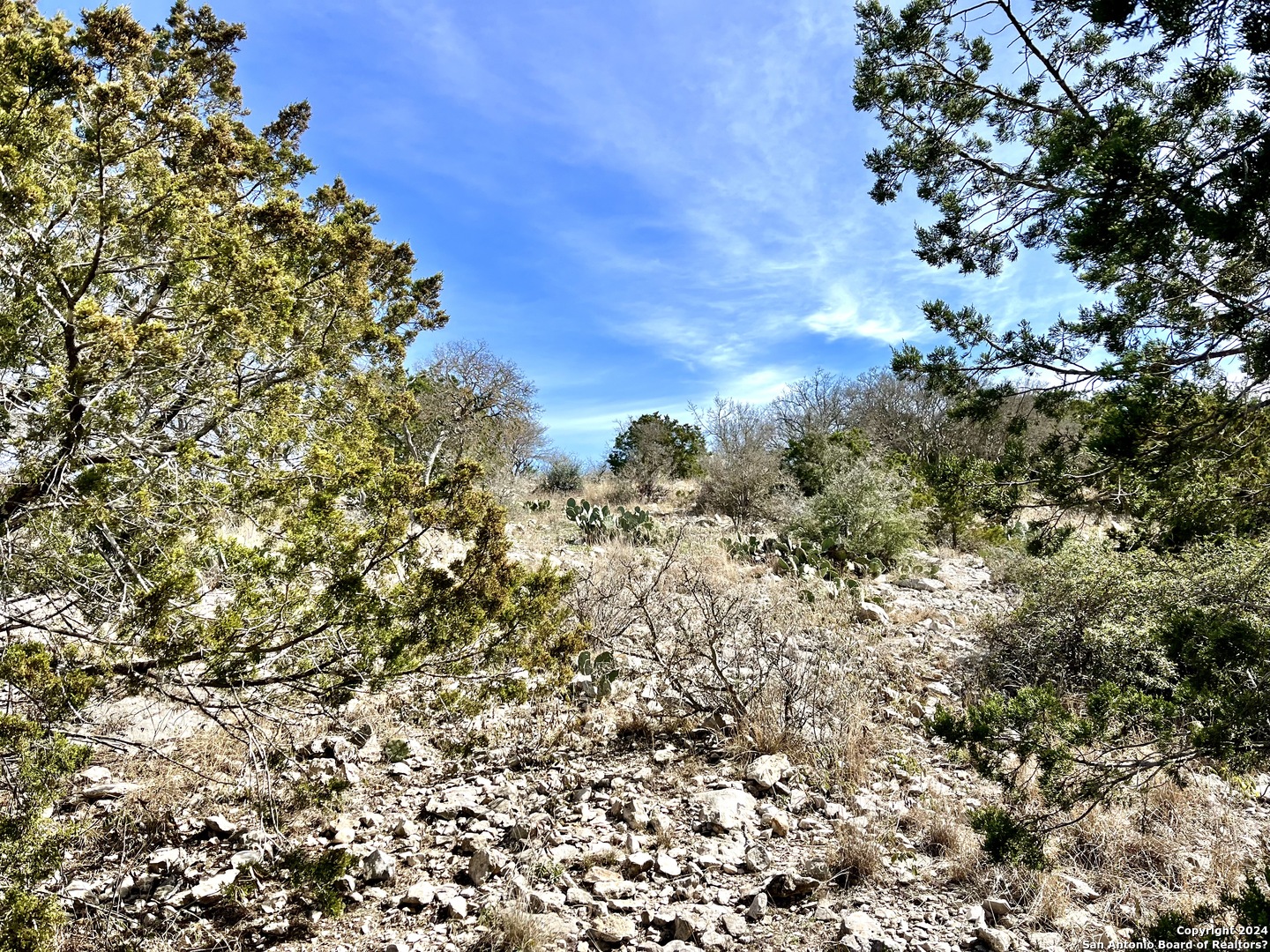 0 SD 63538 Del Rio, TX 78840 - Photo 23 of 27 a view of a city with lush green forest