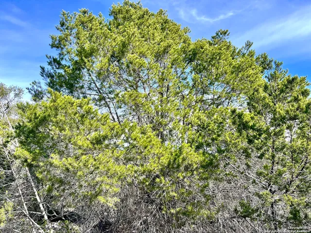 a view of lake view and mountain view