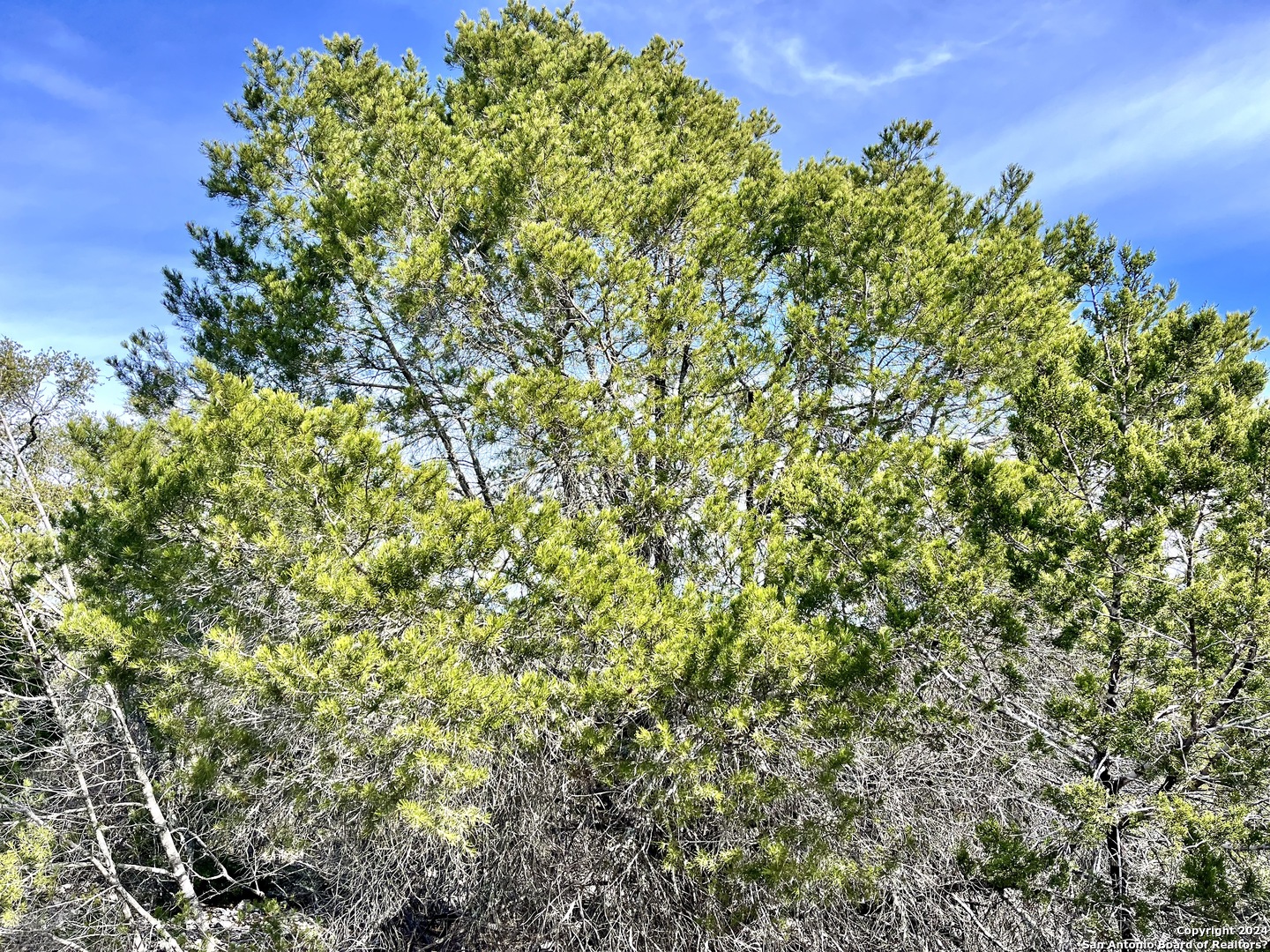 0 SD 63538 Del Rio, TX 78840 - Photo 25 of 27