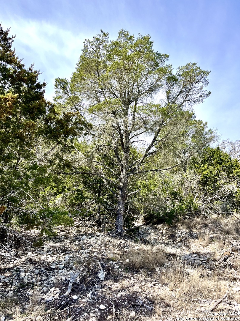 0 SD 63538 Del Rio, TX 78840 - Photo 26 of 27 a backyard of a house