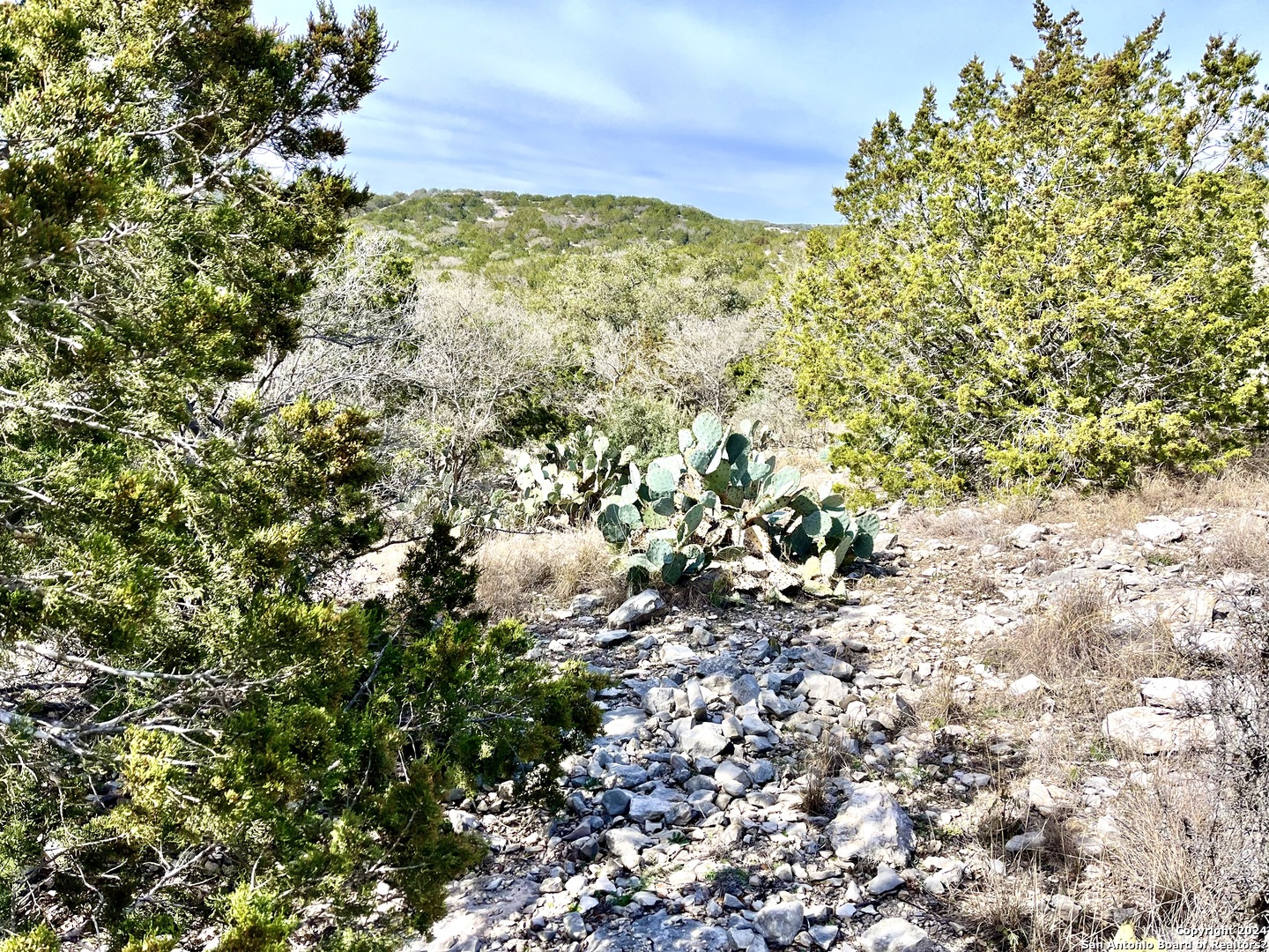 0 SD 63538 Del Rio, TX 78840 - Photo 3 of 27 a view of a tree with a yard
