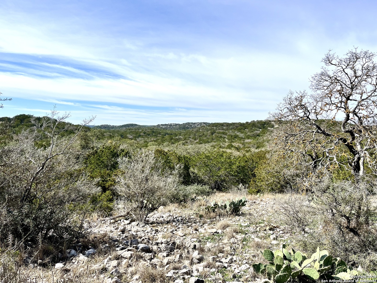 0 SD 63538 Del Rio, TX 78840 - Photo 4 of 27 a view of a forest with trees in the background