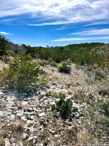 a view of a field with an ocean