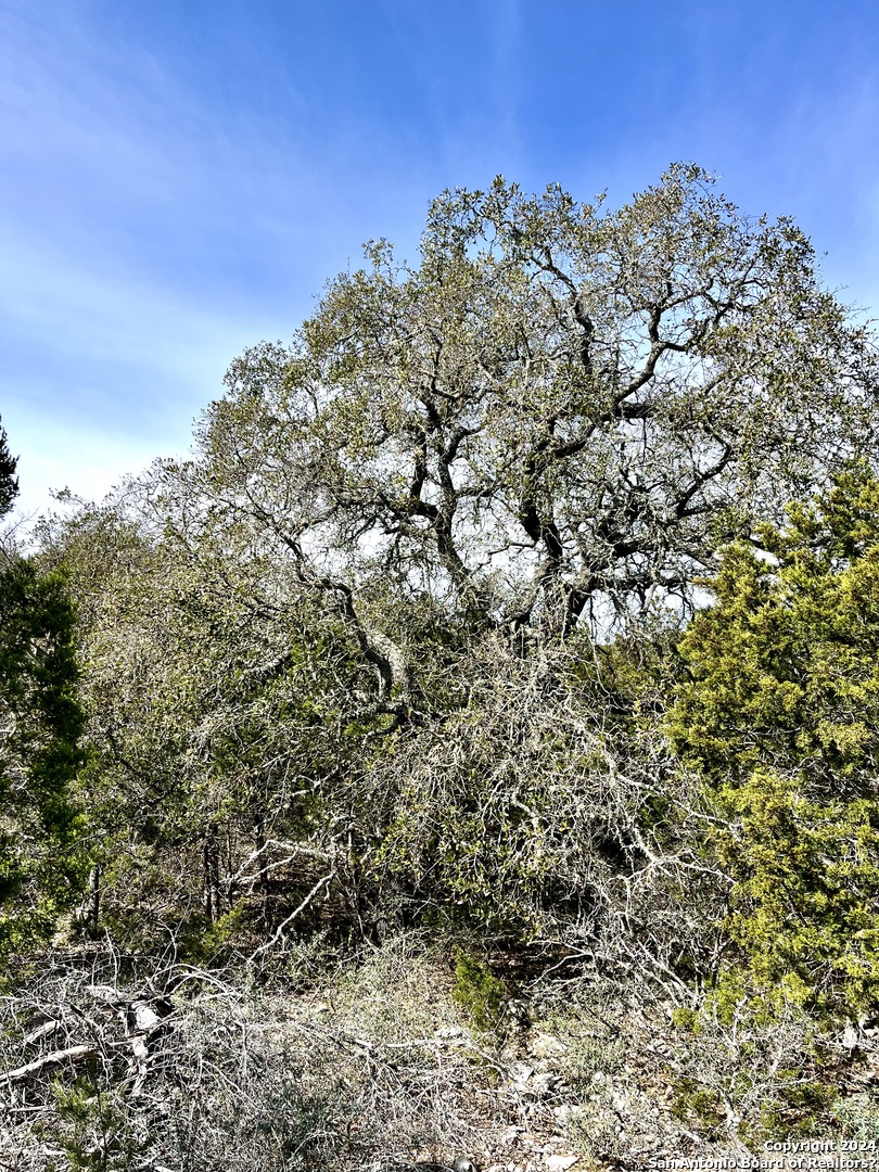 0 SD 63538 Del Rio, TX 78840 - Photo 9 of 27 a view of a large building