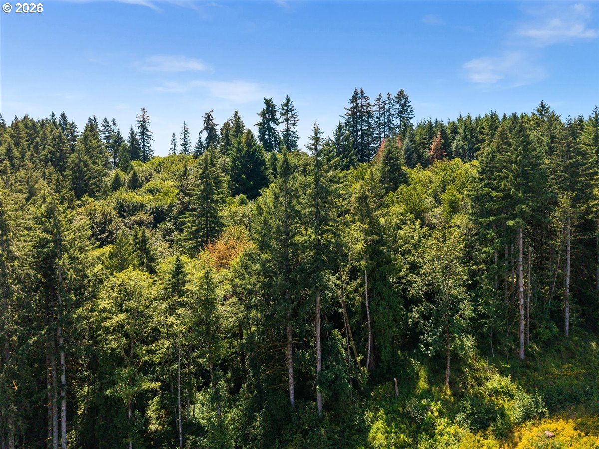 20802 Northwest Pumpkin Ridge Road North Plains, OR 97133 - Photo 7 of 18