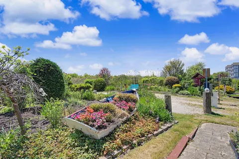 a view of a garden with flowers and trees