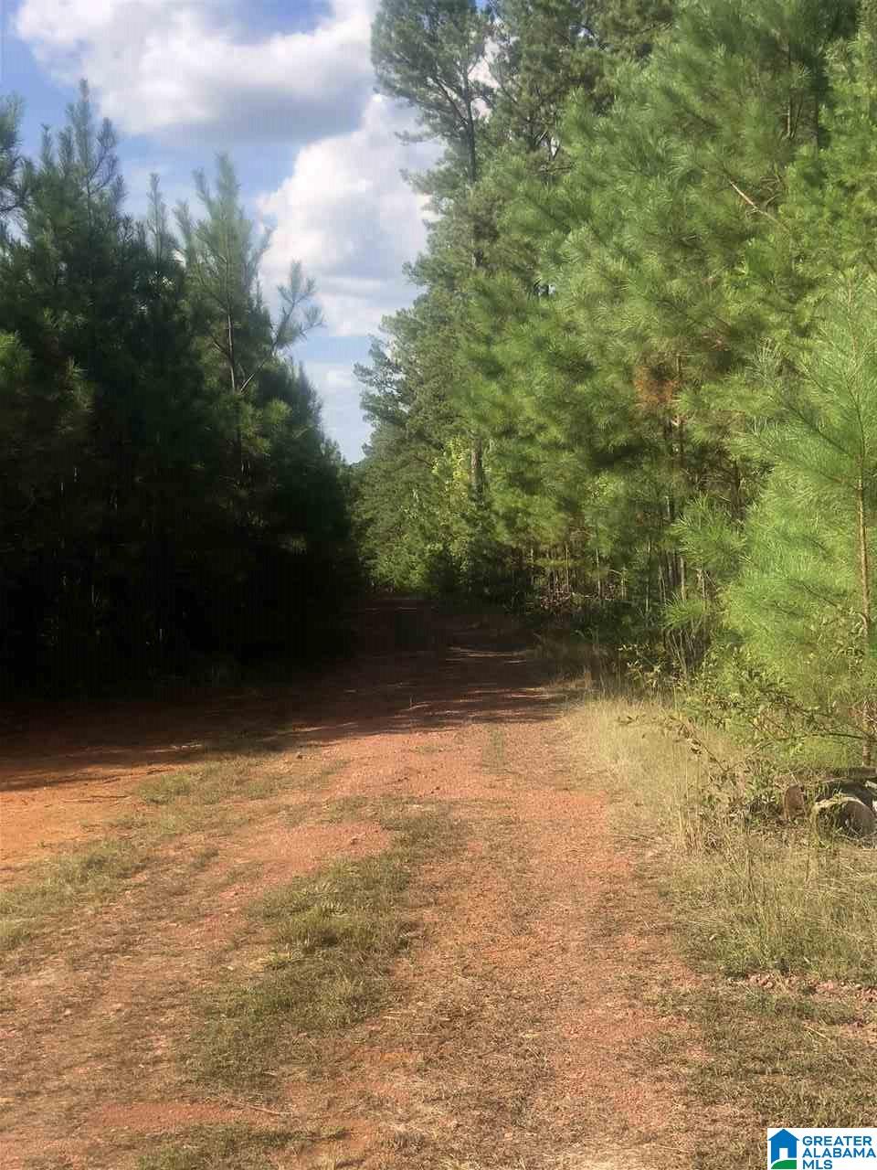 0 Walnut Grove Place, Unit 19 Empire, AL 35063 - Photo 8 of 9