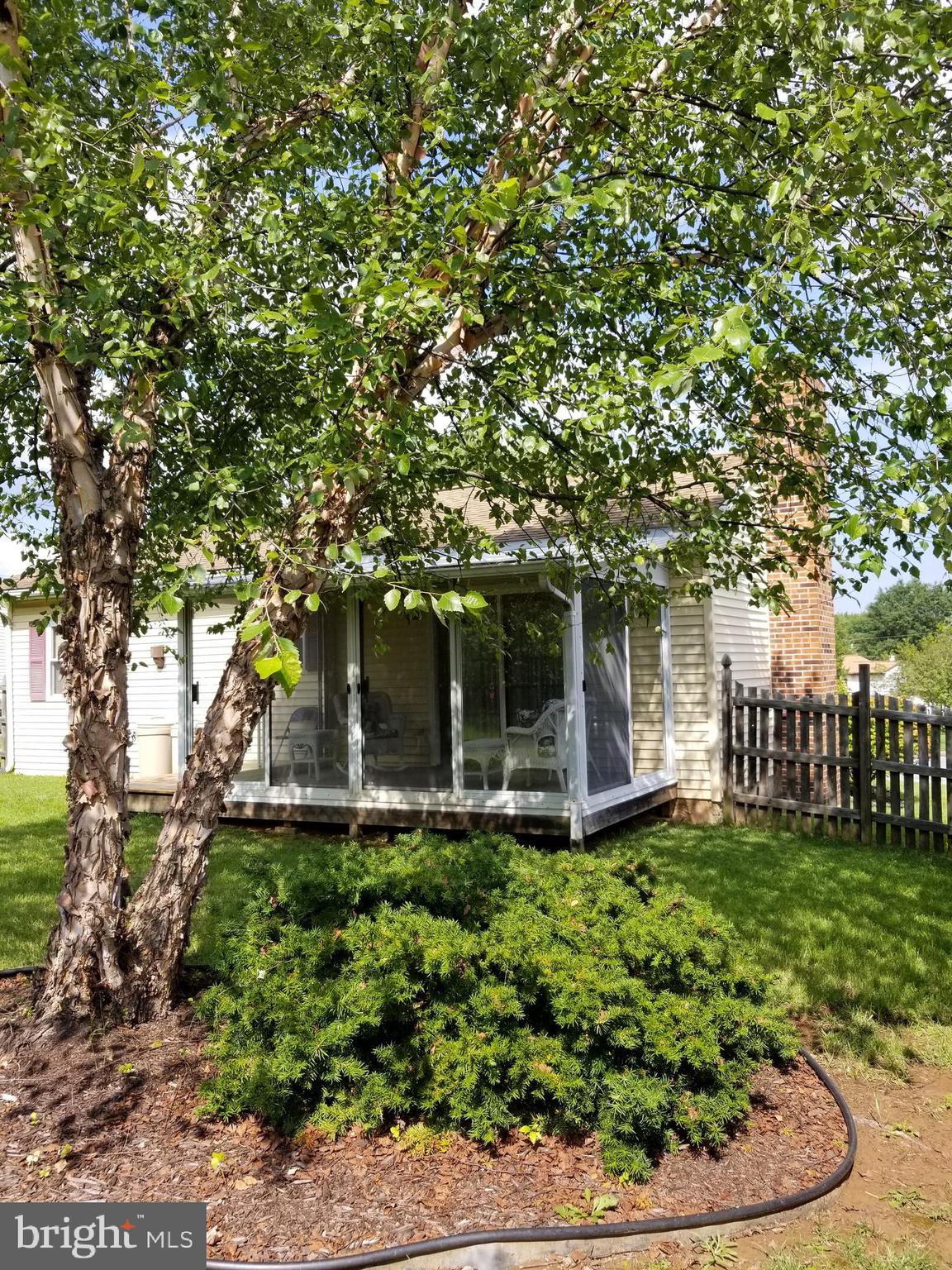 5752 Van Dyke Road Baltimore, MD 21206 - Photo 23 of 30 Beautiful, spacious yard