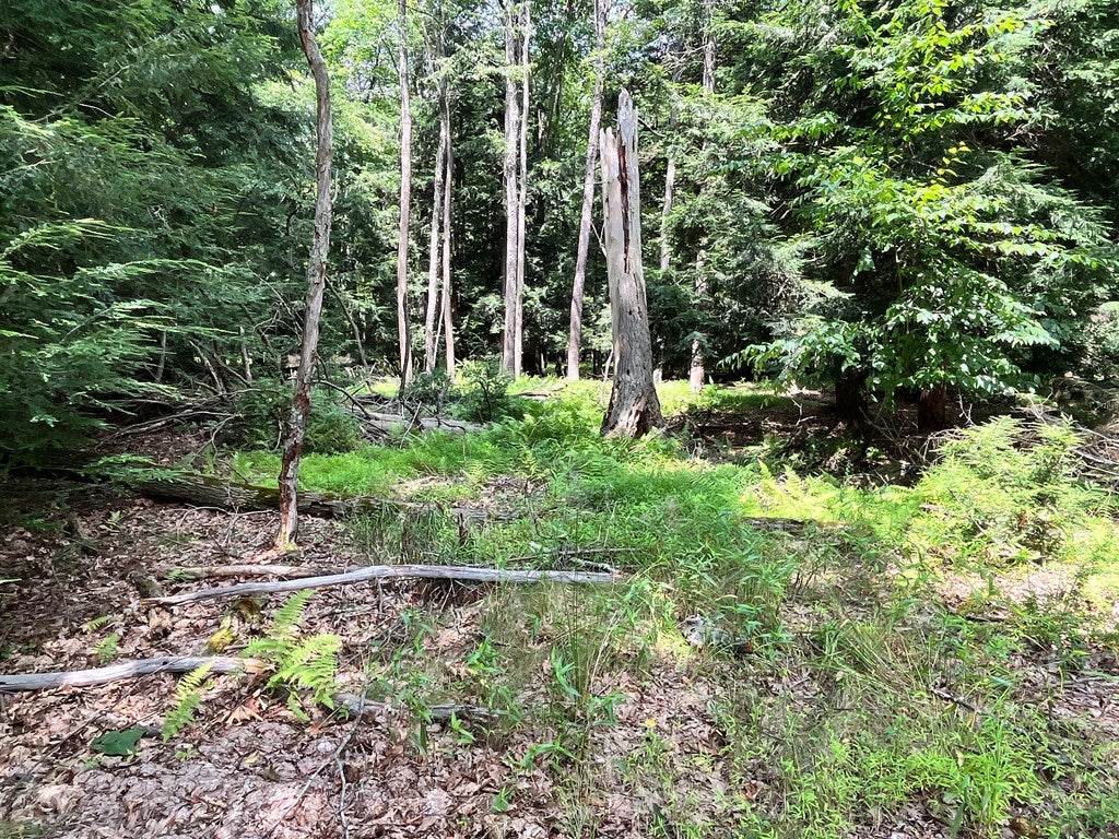 Lot B Waterworks Road Clarion, PA 16214 - Photo 12 of 23 Gallery Image 12
