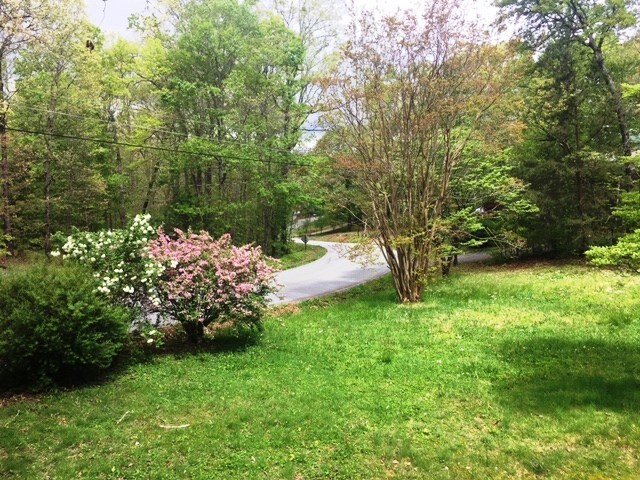 24 Hamby Road Blue Ridge, GA 30513 - Photo 7 of 14 a view of a garden with plants