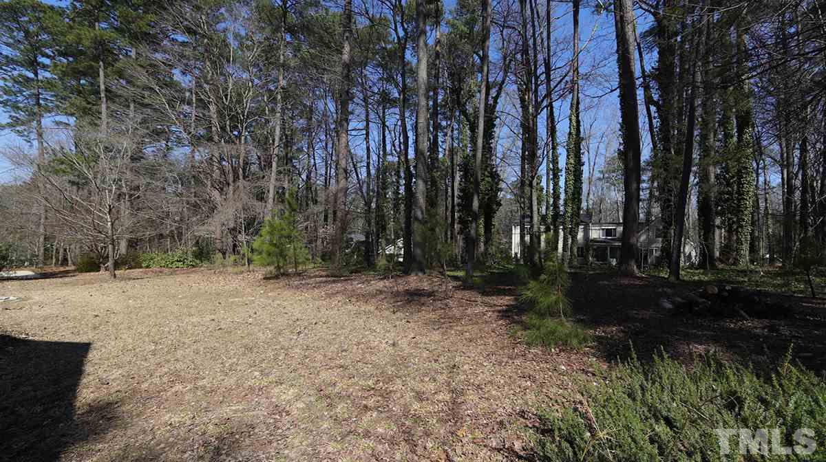 210 Queensferry Road Cary, NC 27511 - Photo 11 of 14 a view of backyard with green space