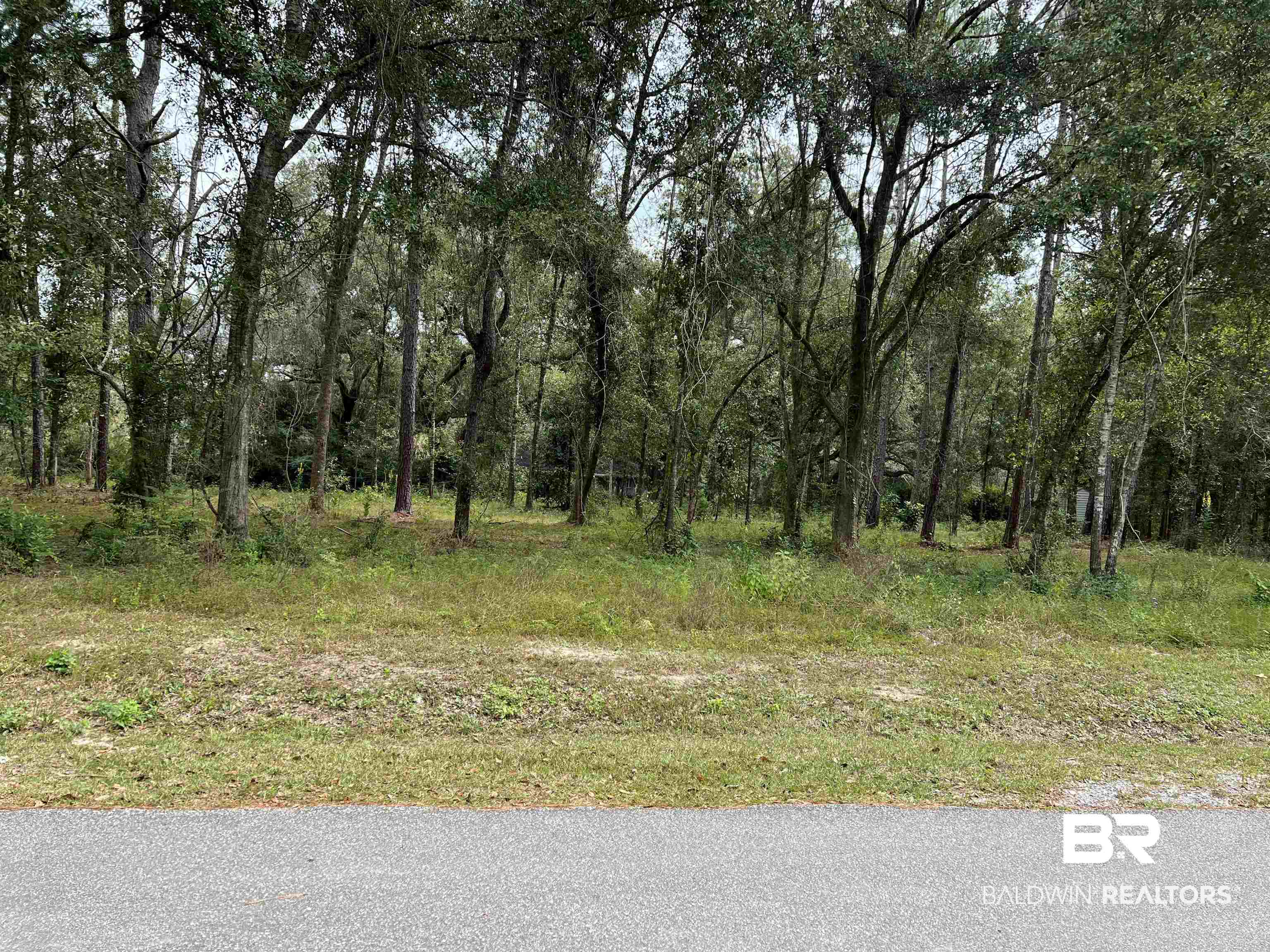 21550 Highway 98 Foley, AL 36535 - Photo 1 of 2