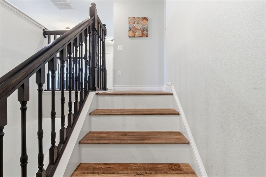 8131 Lucidul Court Trinity, FL 34655 - Photo 33 of 73