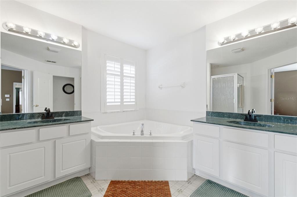 8131 Lucidul Court Trinity, FL 34655 - Photo 46 of 73