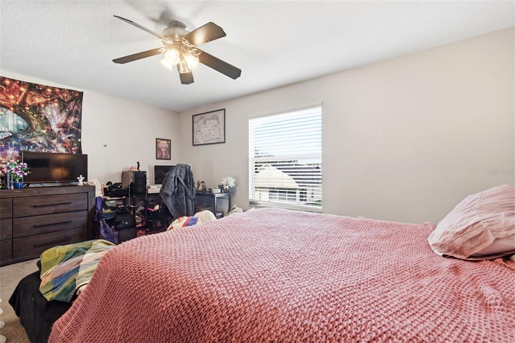 8131 Lucidul Court Trinity, FL 34655 - Photo 49 of 73