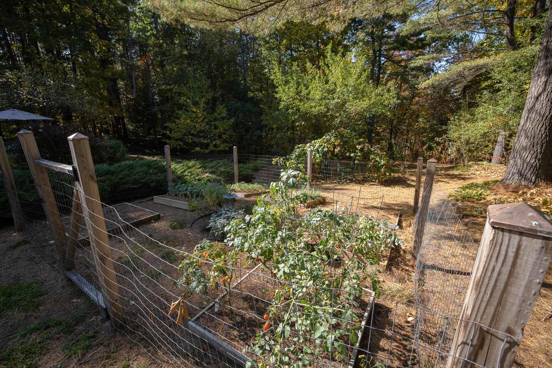 24 High Pine Road York, ME 03909 - Photo 40 of 50 seacoast_rephotos-112-2