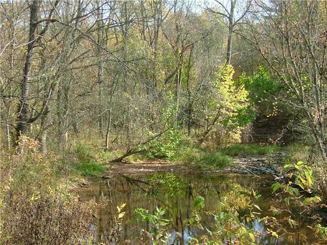 0 County Road Marengo, OH 43334 - Photo 3 of 5