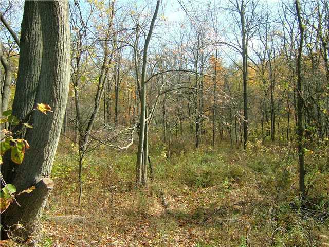 0 County Road Marengo, OH 43334 - Photo 4 of 5