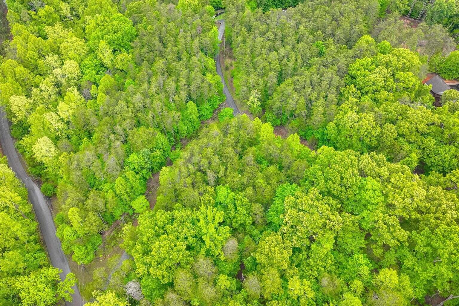 Lot 60 Old Barn Road Moneta, VA 24121 - Photo 10 of 31 20260520134602324947000000-o
