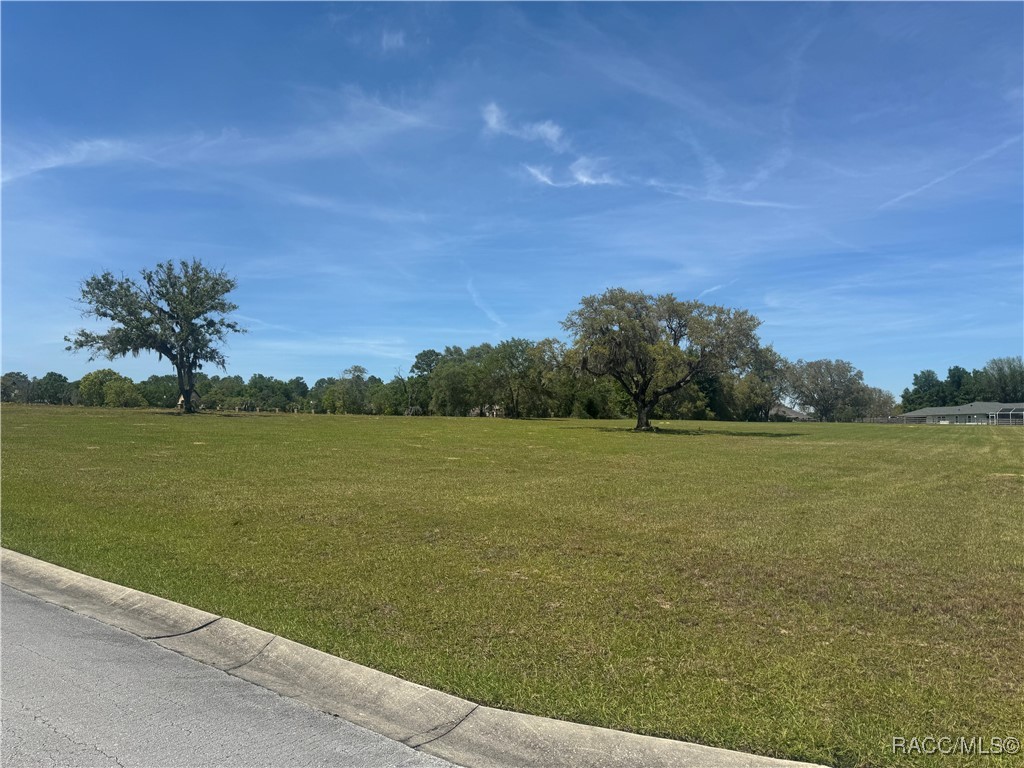 244 North Lake Shenandoah Loop Inverness, FL 34453 - Photo 7 of 26 Gallery Image 7