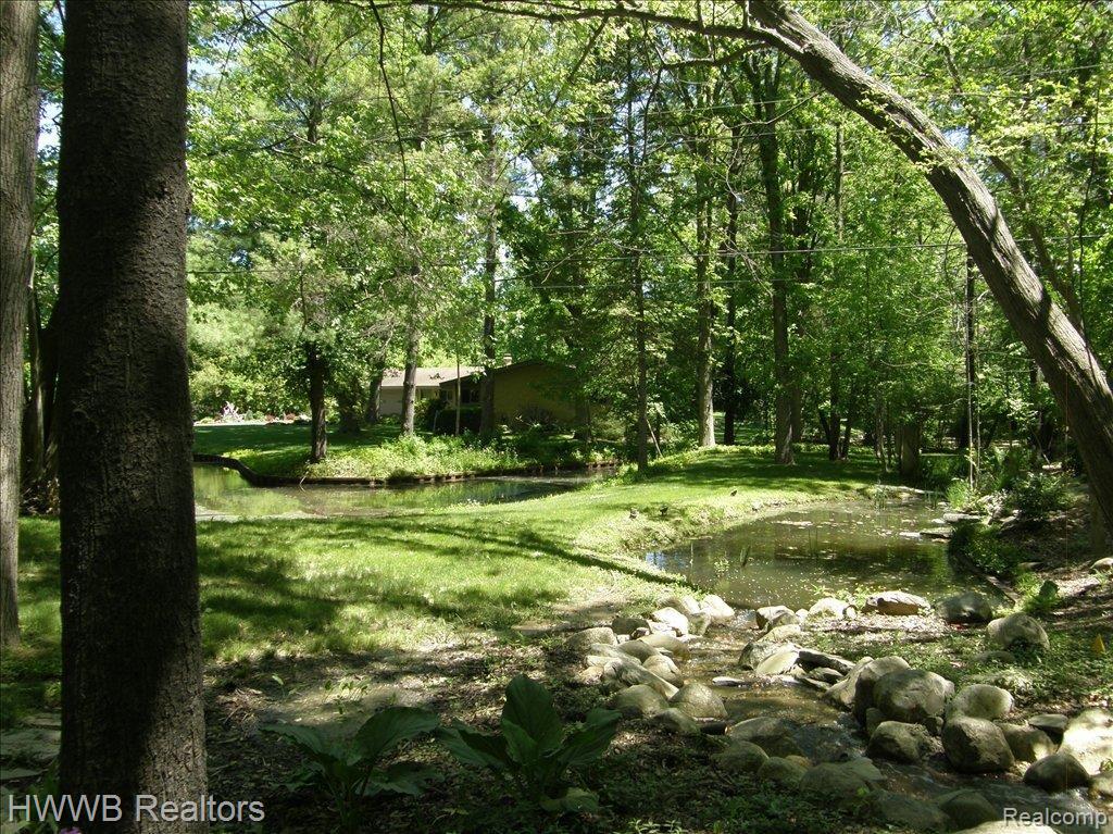 1470 North Livernois Road Rochester, MI 48306 - Photo 19 of 20 Home Framed By Nature