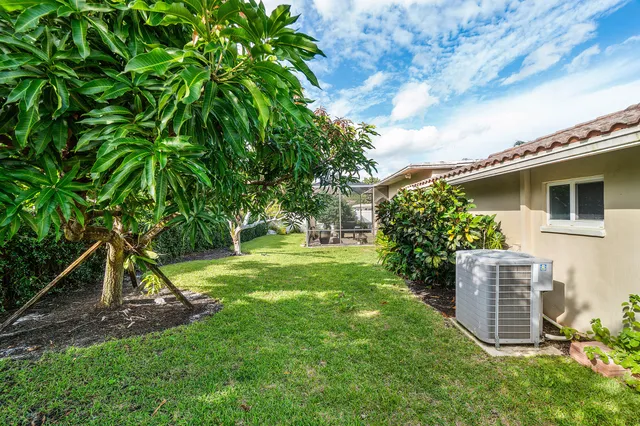 a view of a backyard with plants and a large tree
