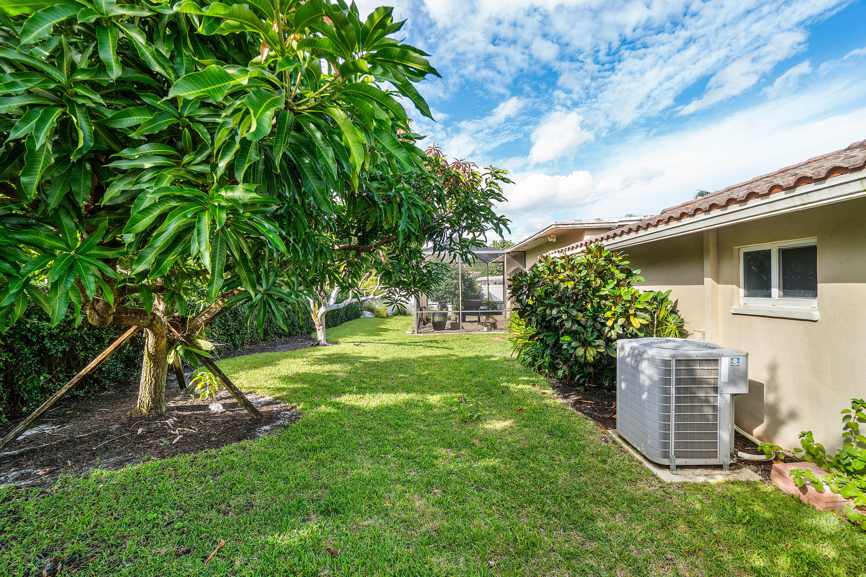 3509 Northwest 26th Court Boca Raton, FL 33434 - Photo 32 of 33 a view of a backyard with plants and a large tree
