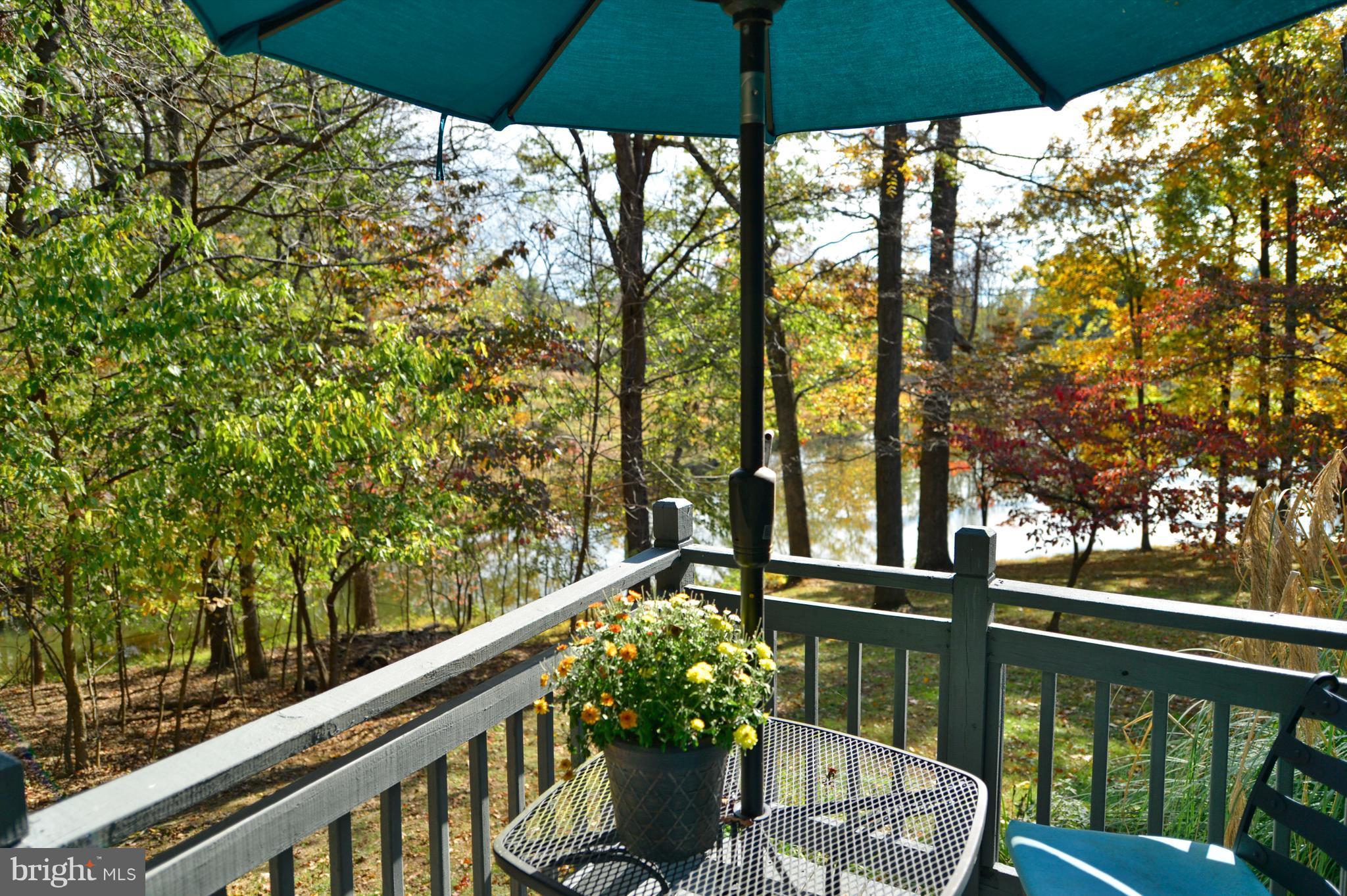 37340 Bolyn Road Purcellville, VA 20132 - Photo 15 of 30 Private Deck off the Master Bedroom