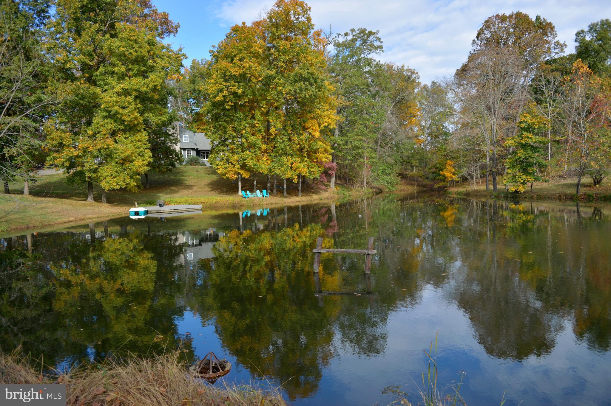 37340 Bolyn Road Purcellville, VA 20132 - Photo 3 of 30 1 Acre Spring Fed and Stocked Pond