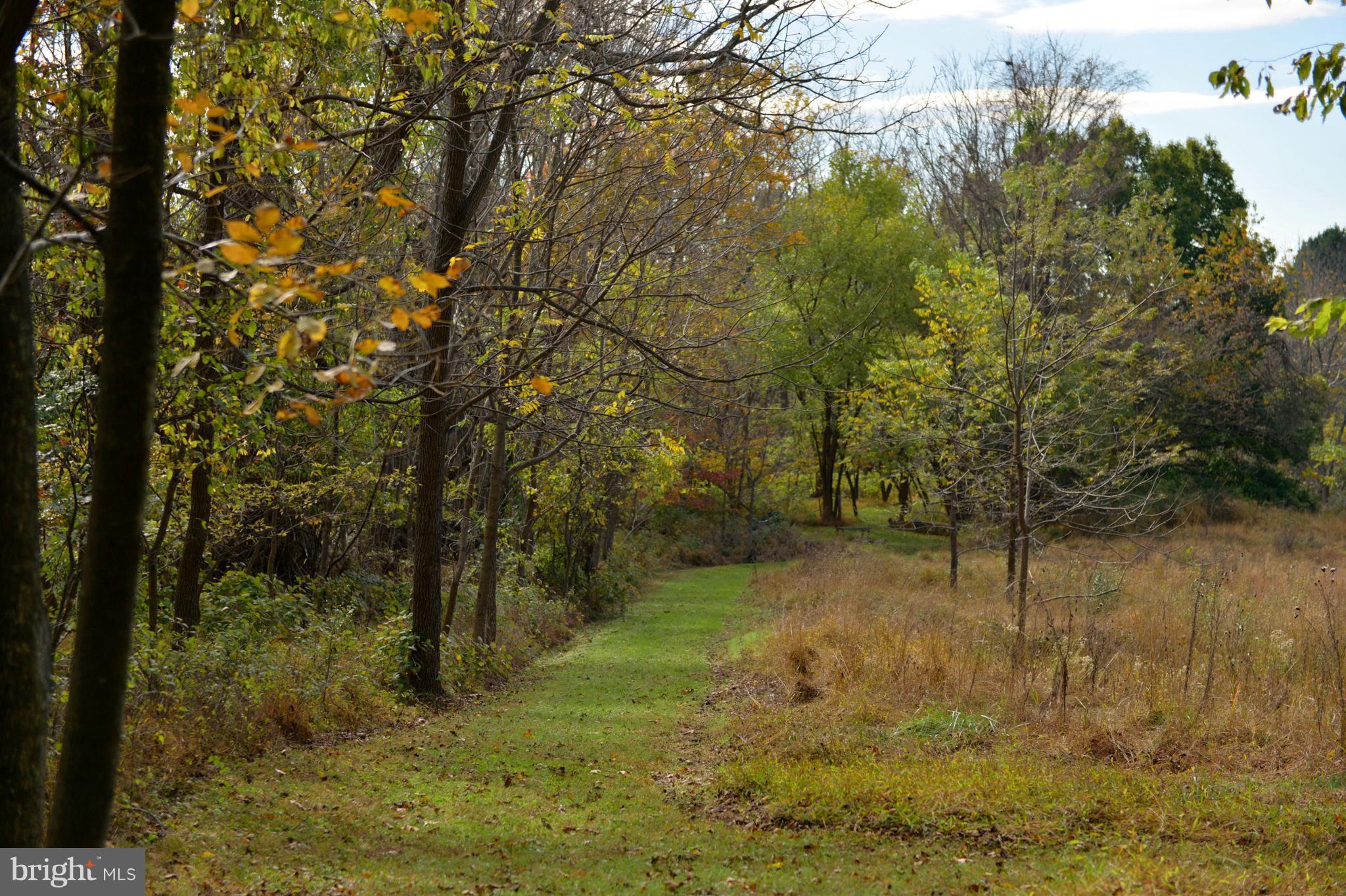 37340 Bolyn Road Purcellville, VA 20132 - Photo 25 of 30 Meticulous Trails Throughout the Property