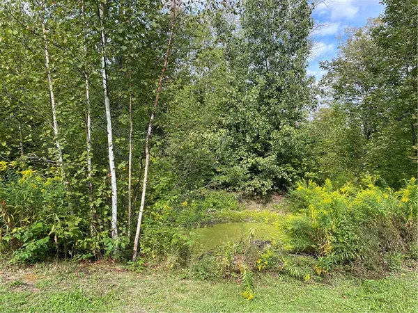 $180,000 | 421 Welch Road, Blenheim, NY 12093