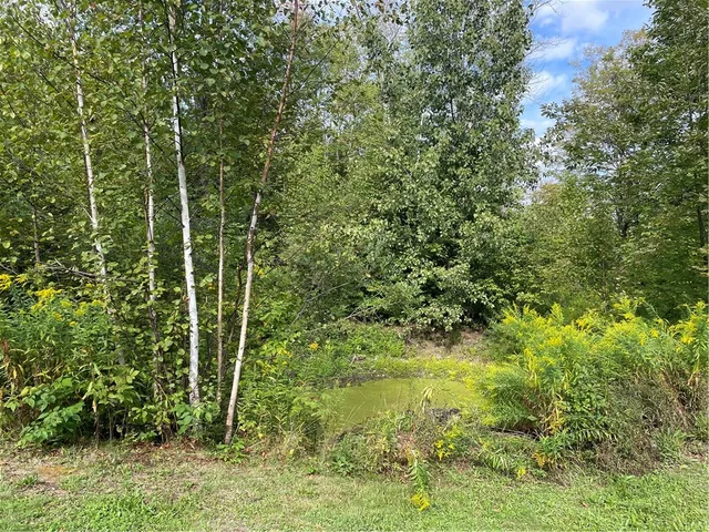 $180,000 | 421 Welch Road, Blenheim, NY 12093