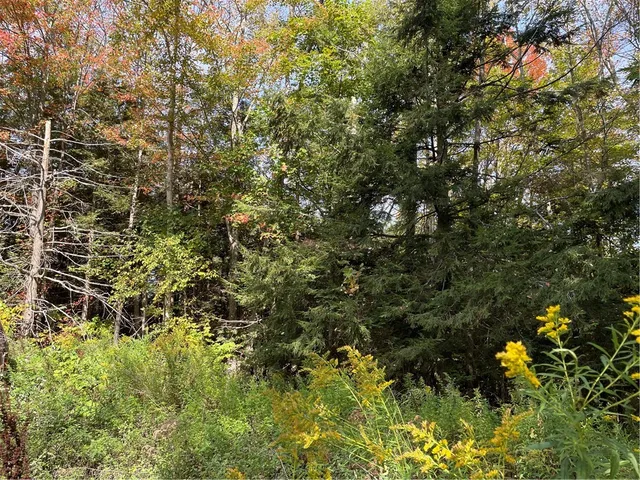 $180,000 | 421 Welch Road, Blenheim, NY 12093