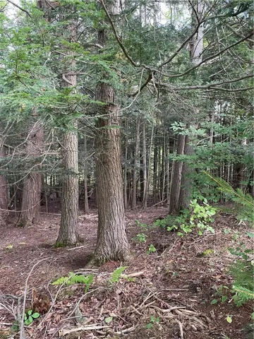 $180,000 | 421 Welch Road, Blenheim, NY 12093