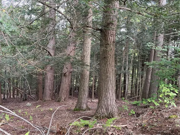 $180,000 | 421 Welch Road, Blenheim, NY 12093