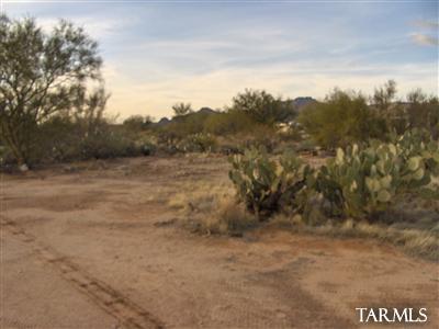 2110 West Moore Road, Unit LOT 3 Tucson, AZ 85755 - Photo 4 of 6