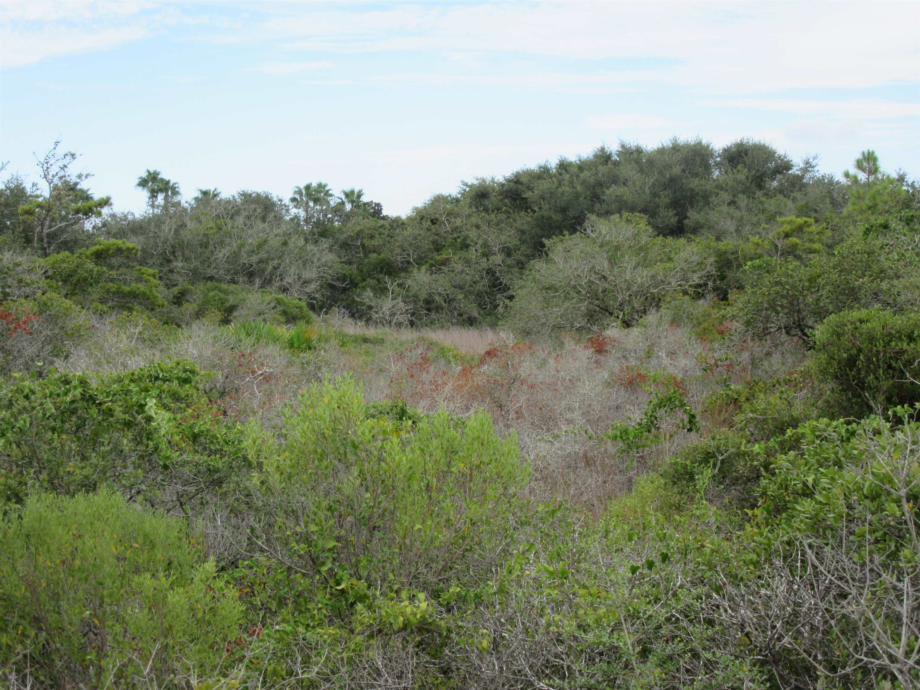 Cabana Beach Road Gulf Shores, AL 36542 - Photo 3 of 12 Lot View