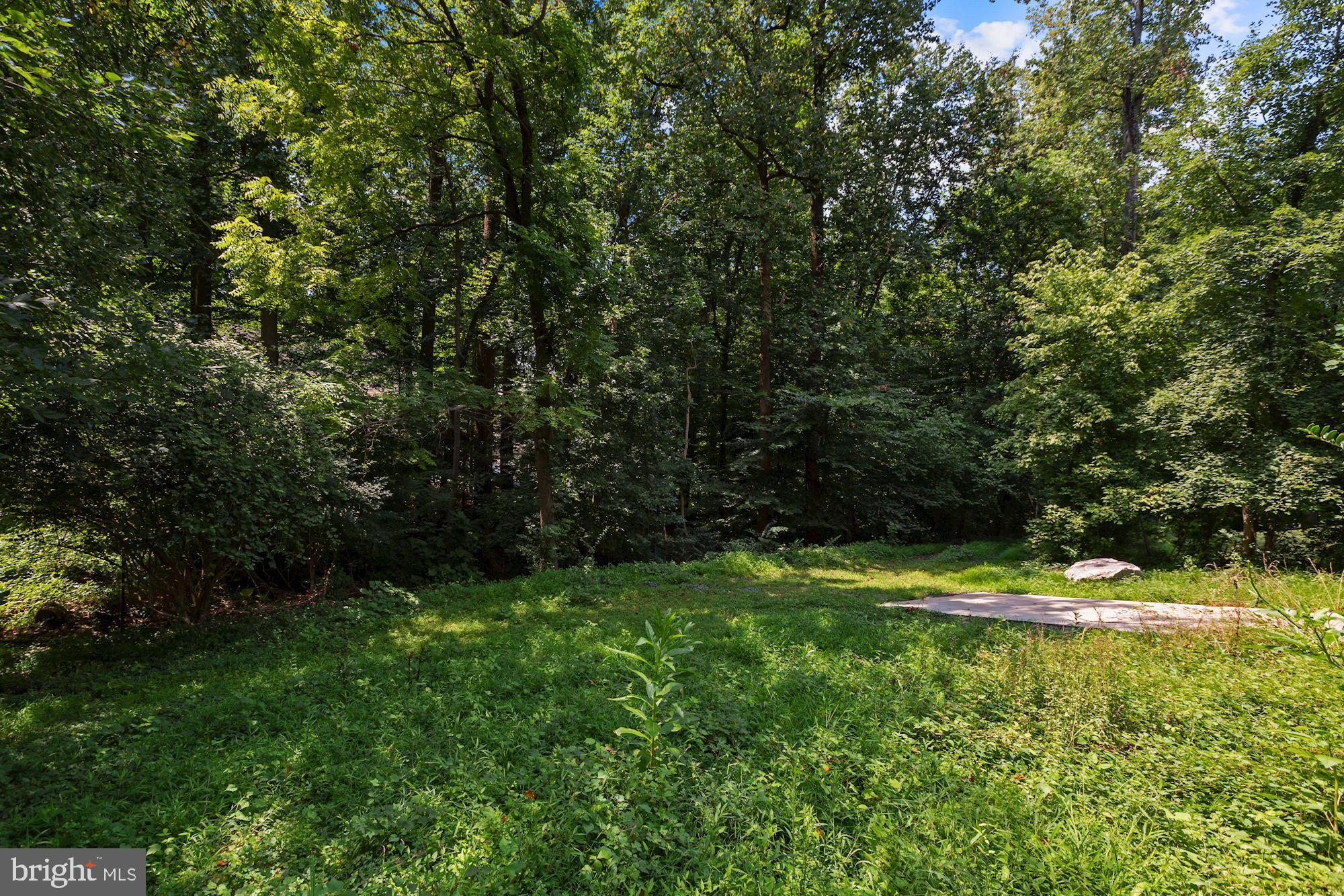2906 Covington Road Silver Spring, MD 20910 - Photo 17 of 21 Gallery Image 17