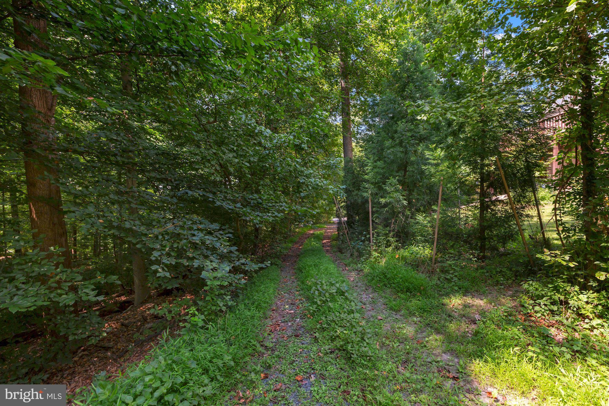 2906 Covington Road Silver Spring, MD 20910 - Photo 18 of 21 Gallery Image 18