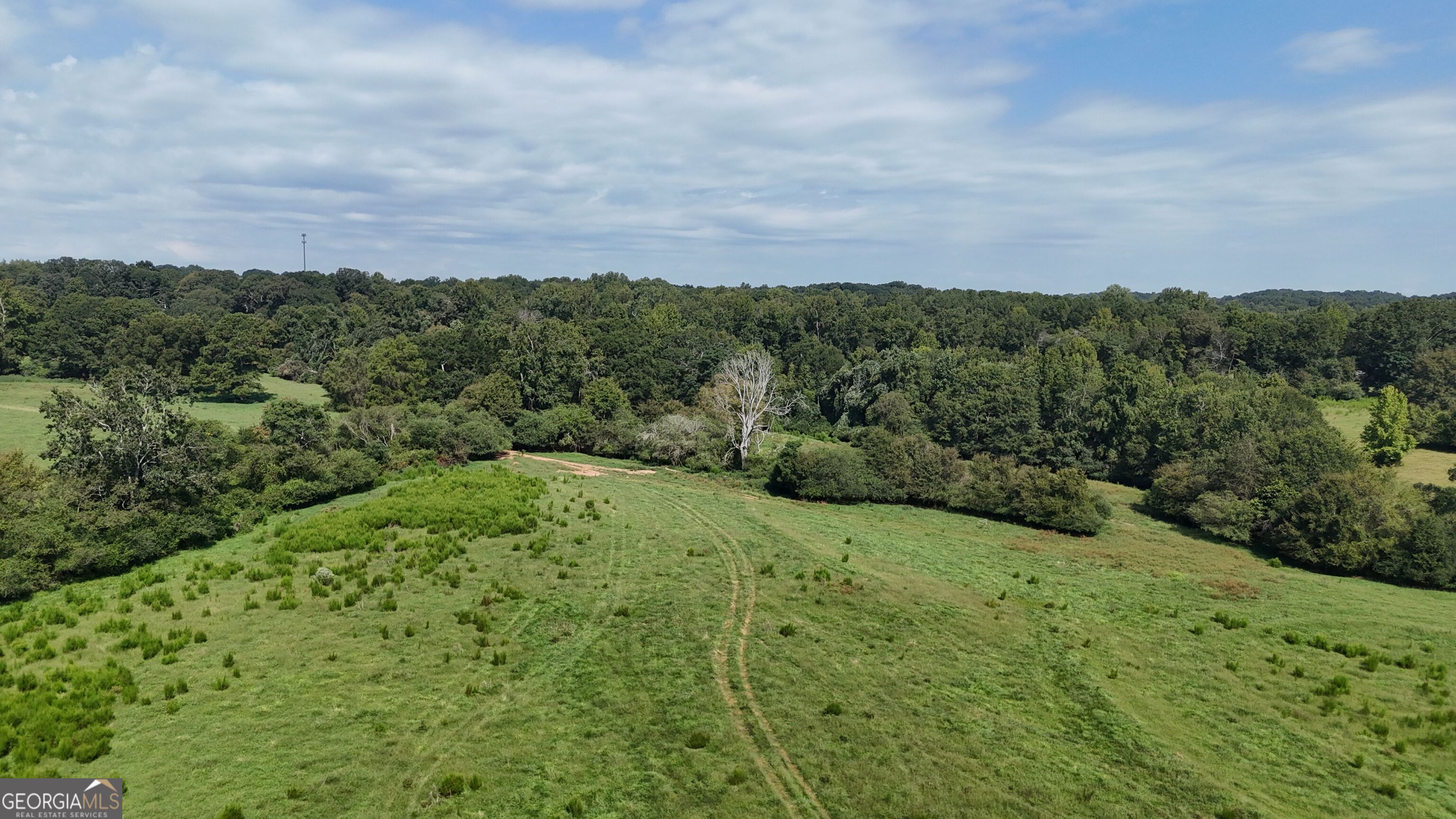 7 Red Rose Court Nicholson, GA 30565 - Photo 15 of 81 a view of a big yard with lots of green space