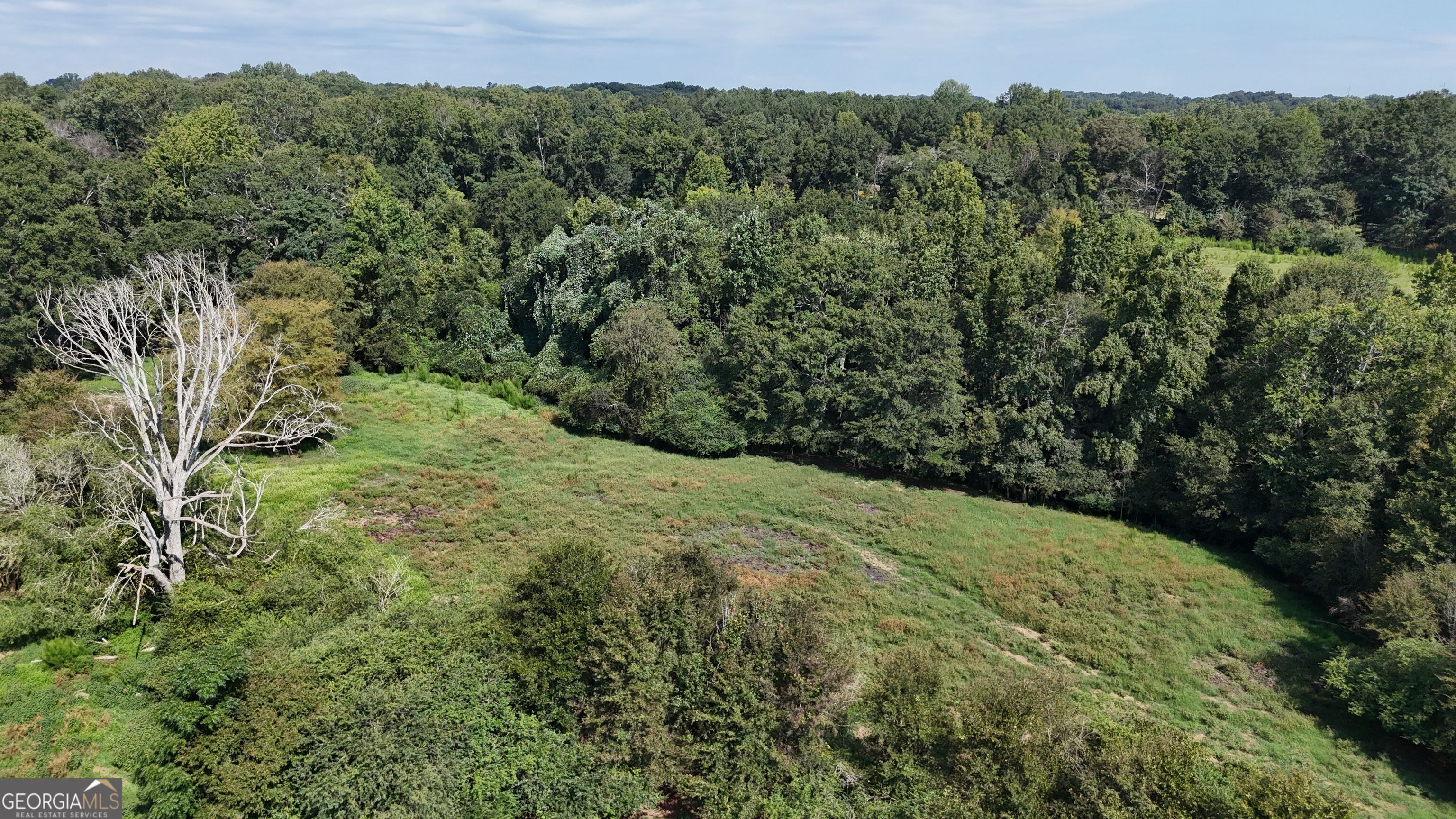 7 Red Rose Court Nicholson, GA 30565 - Photo 16 of 81 a view of a yard with a tree