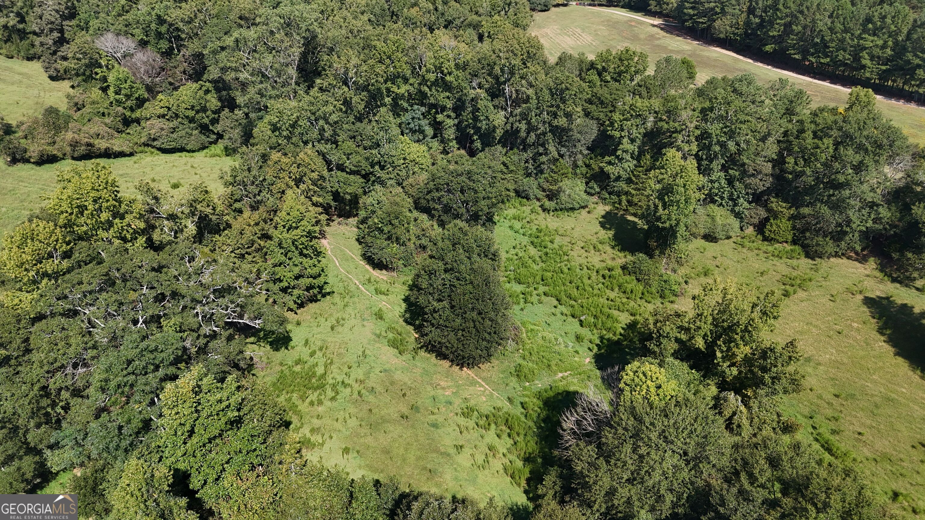 7 Red Rose Court Nicholson, GA 30565 - Photo 19 of 81 a view of a forest with a building