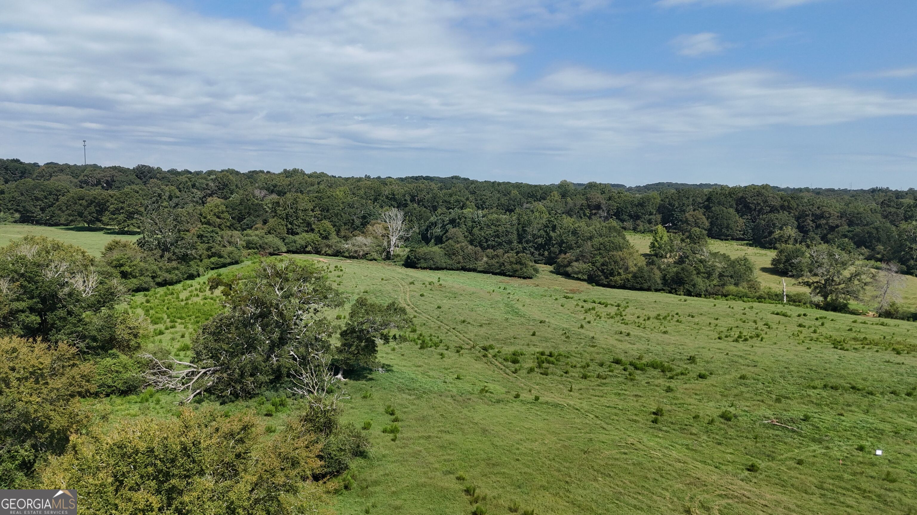 7 Red Rose Court Nicholson, GA 30565 - Photo 2 of 81 a view of a green field