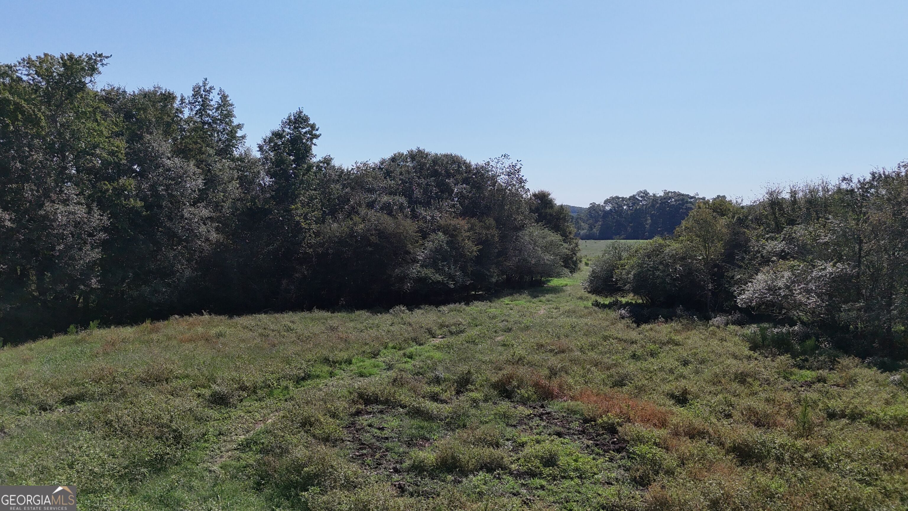 7 Red Rose Court Nicholson, GA 30565 - Photo 21 of 81 a view of a yard with a tree