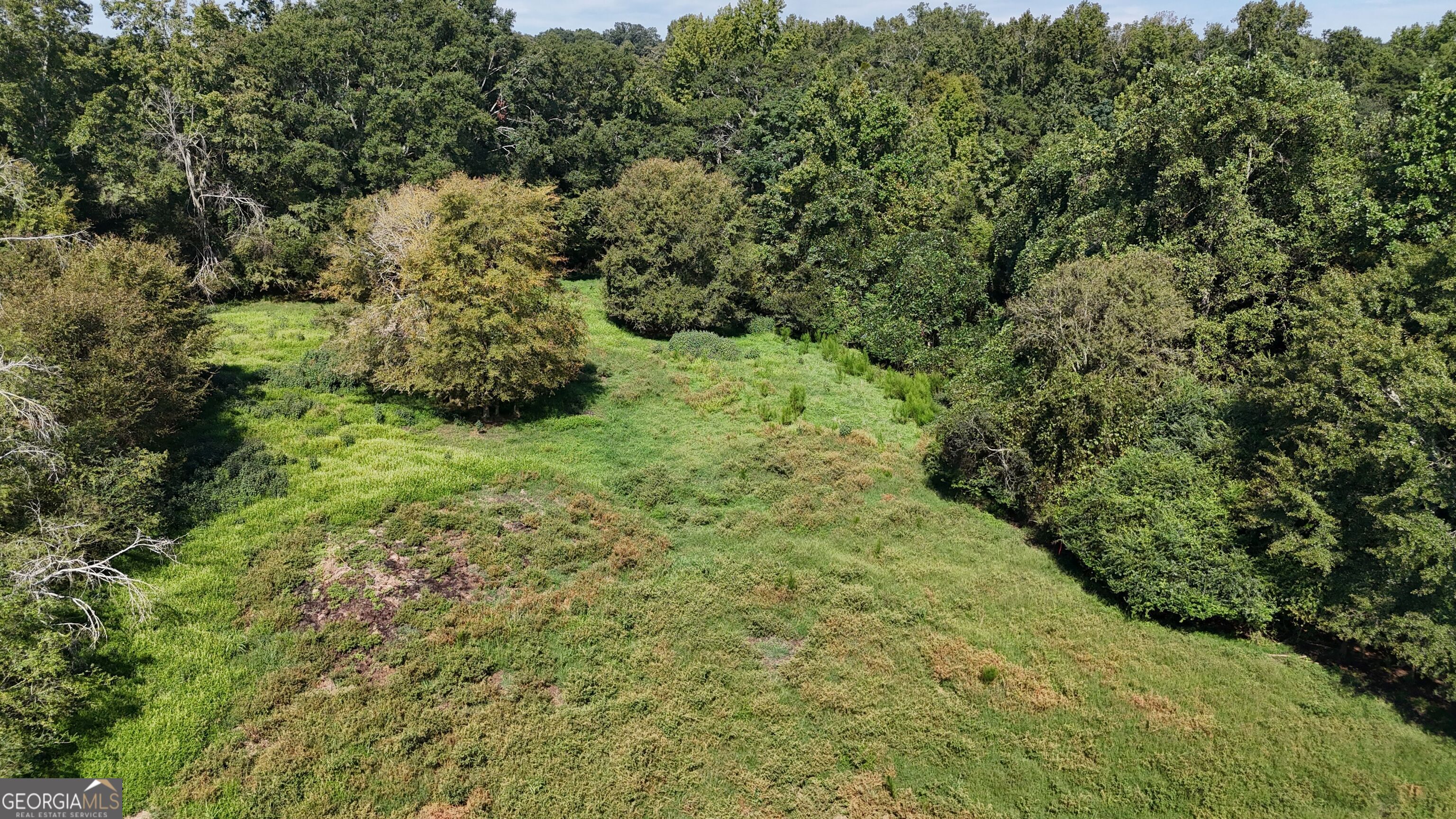 7 Red Rose Court Nicholson, GA 30565 - Photo 23 of 81 a view of a big yard with lots of bushes