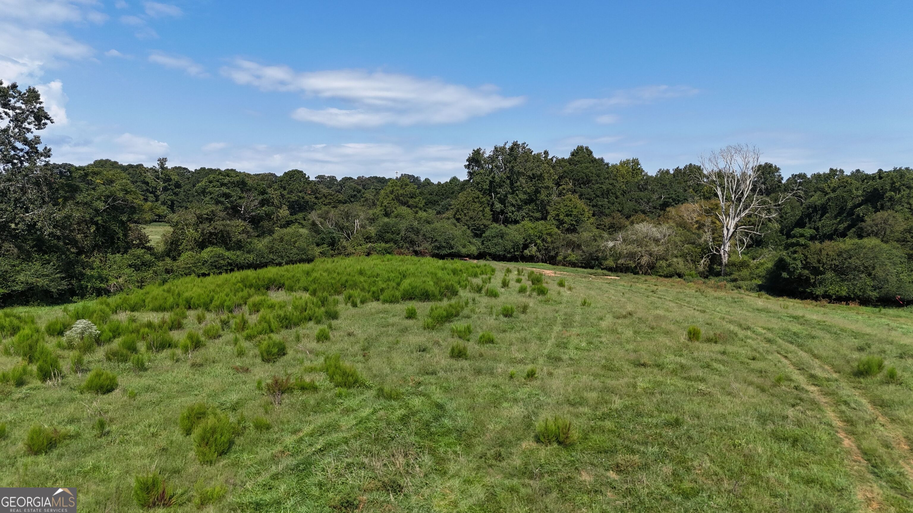 7 Red Rose Court Nicholson, GA 30565 - Photo 25 of 81